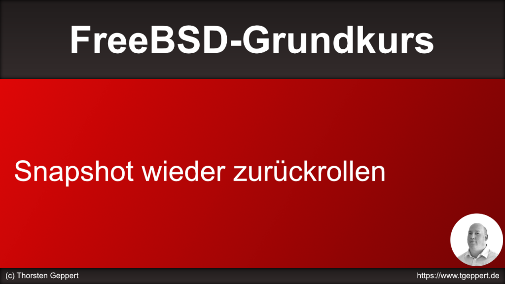 Snapshot wieder zurückrollen