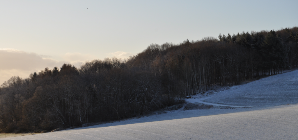 Oberdürenbach im Schnee